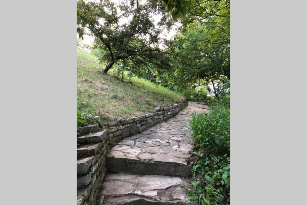 Villa Kornelija Stari Slankamen Dış mekan fotoğraf