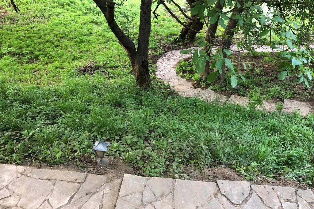 Villa Kornelija Stari Slankamen Dış mekan fotoğraf