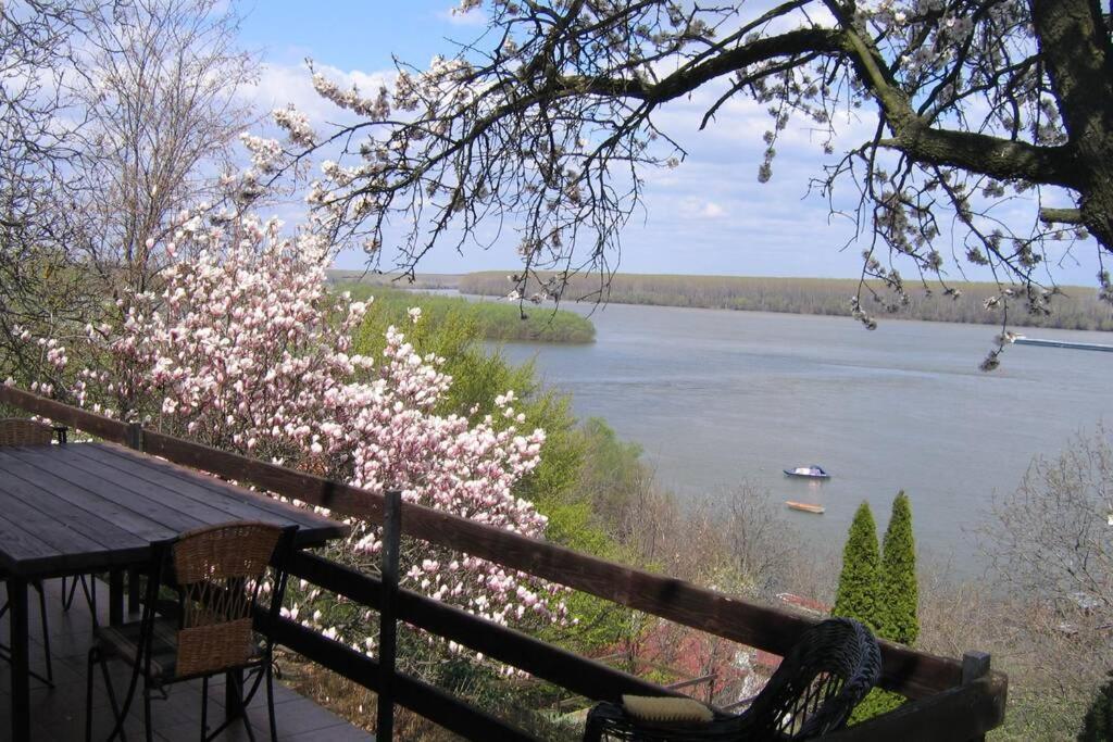 Villa Kornelija Stari Slankamen Dış mekan fotoğraf