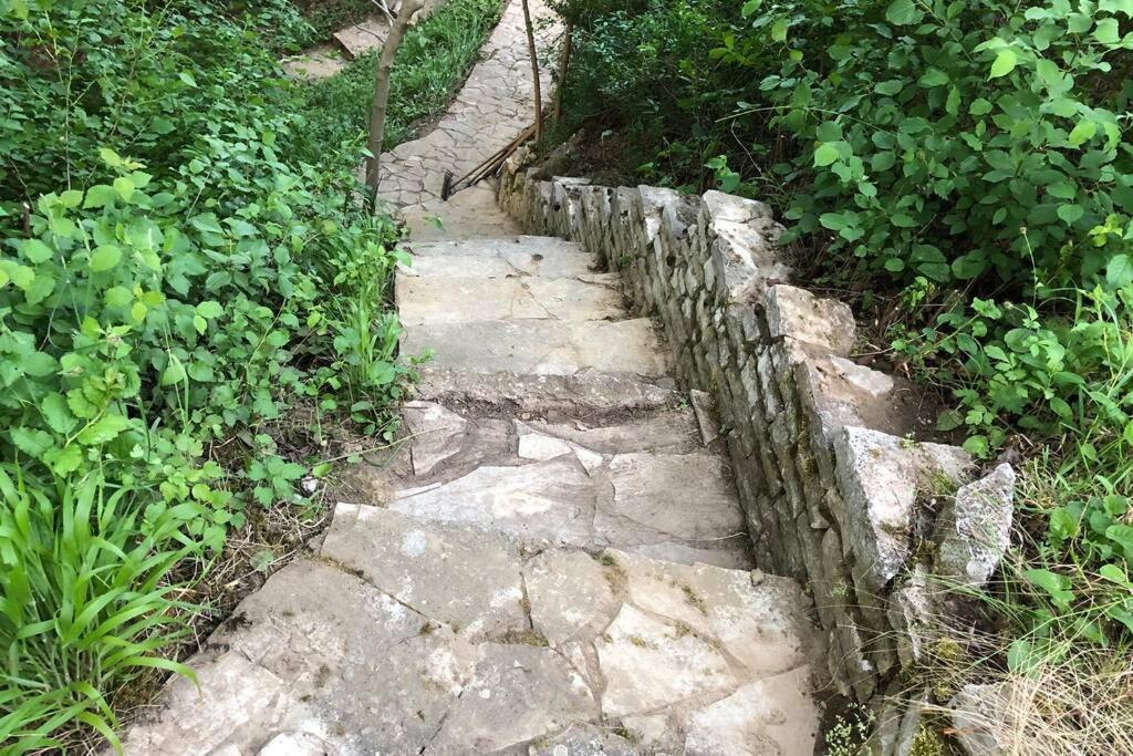 Villa Kornelija Stari Slankamen Dış mekan fotoğraf