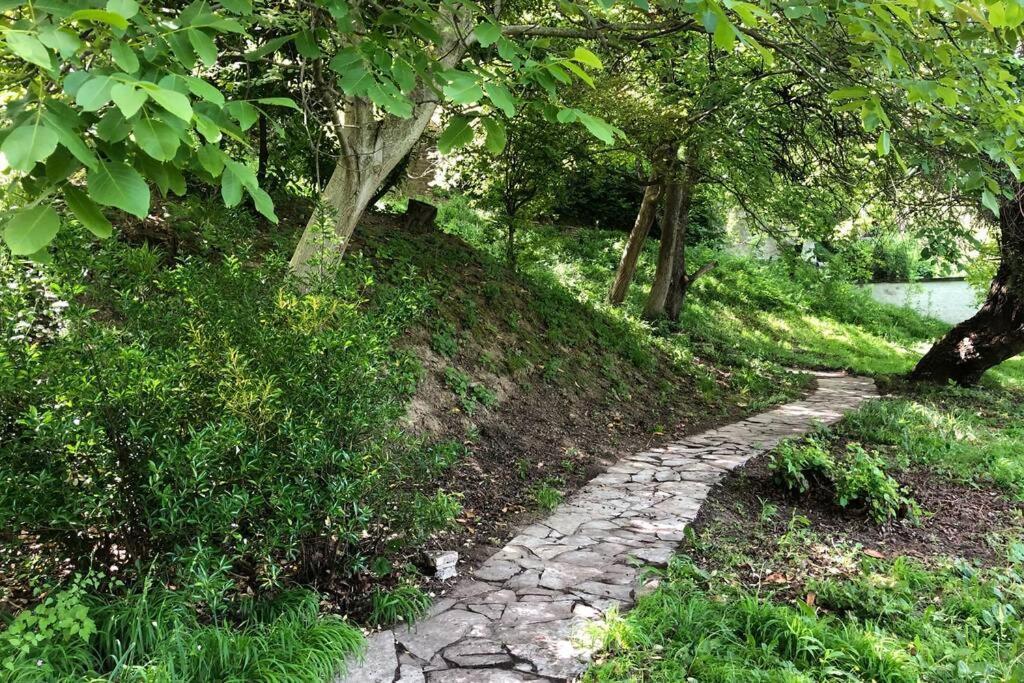 Villa Kornelija Stari Slankamen Dış mekan fotoğraf