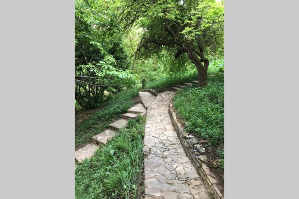 Villa Kornelija Stari Slankamen Dış mekan fotoğraf