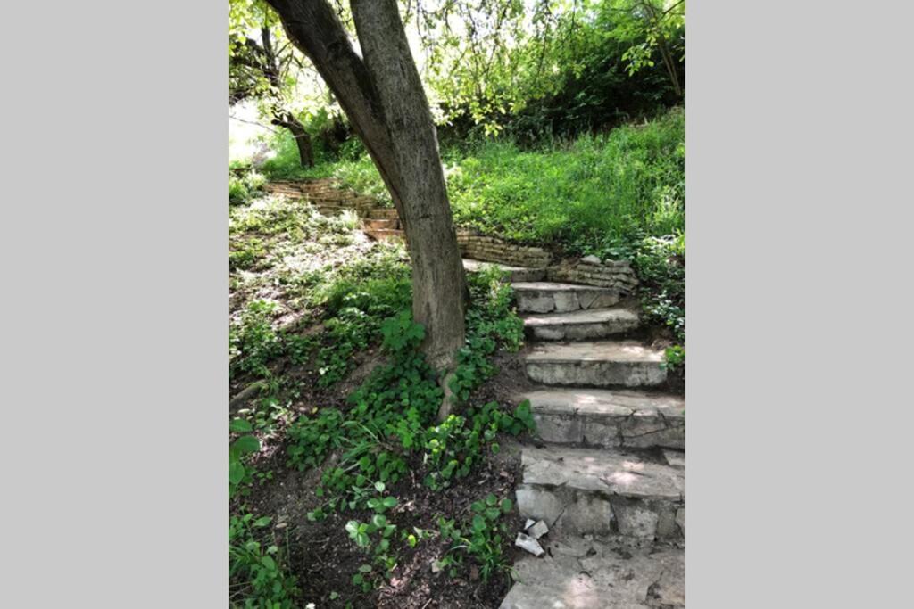 Villa Kornelija Stari Slankamen Dış mekan fotoğraf