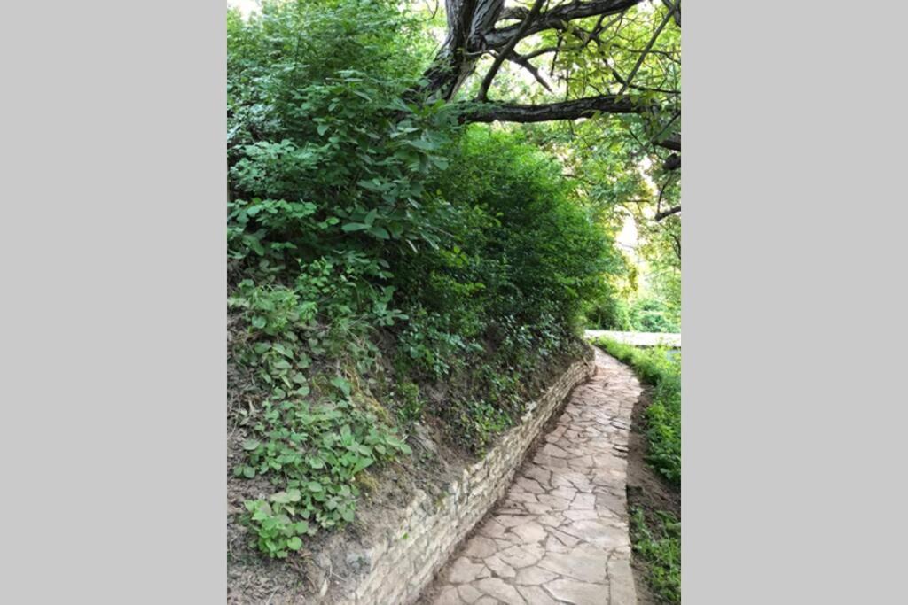 Villa Kornelija Stari Slankamen Dış mekan fotoğraf