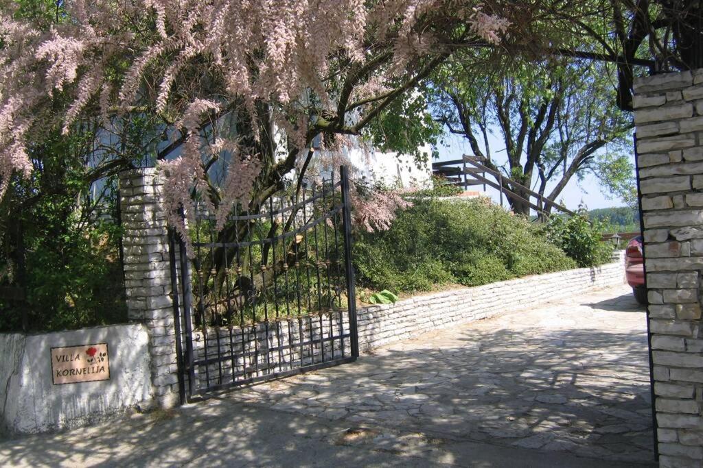 Villa Kornelija Stari Slankamen Dış mekan fotoğraf