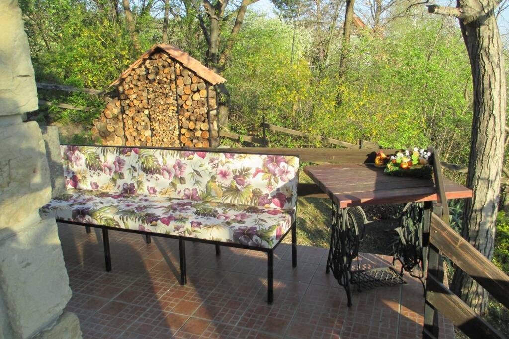 Villa Kornelija Stari Slankamen Dış mekan fotoğraf