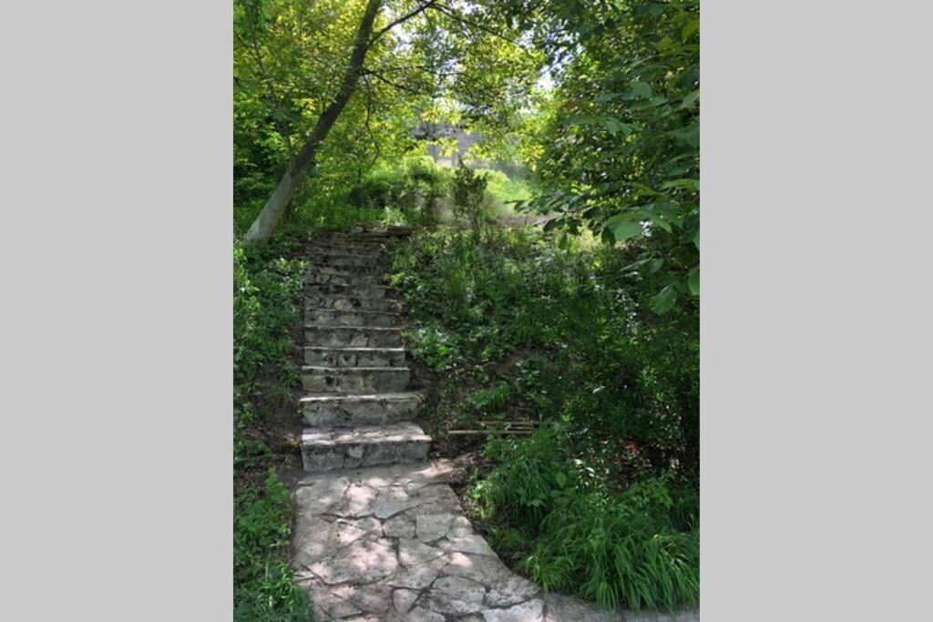 Villa Kornelija Stari Slankamen Dış mekan fotoğraf