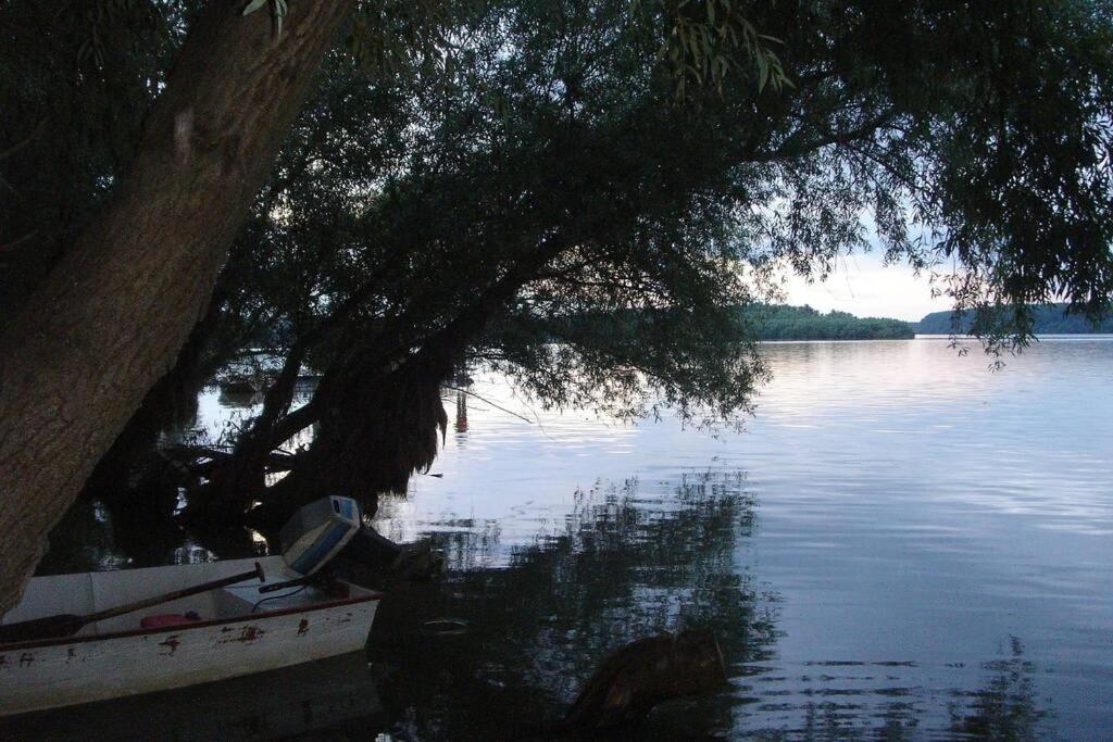 Villa Kornelija Stari Slankamen Dış mekan fotoğraf